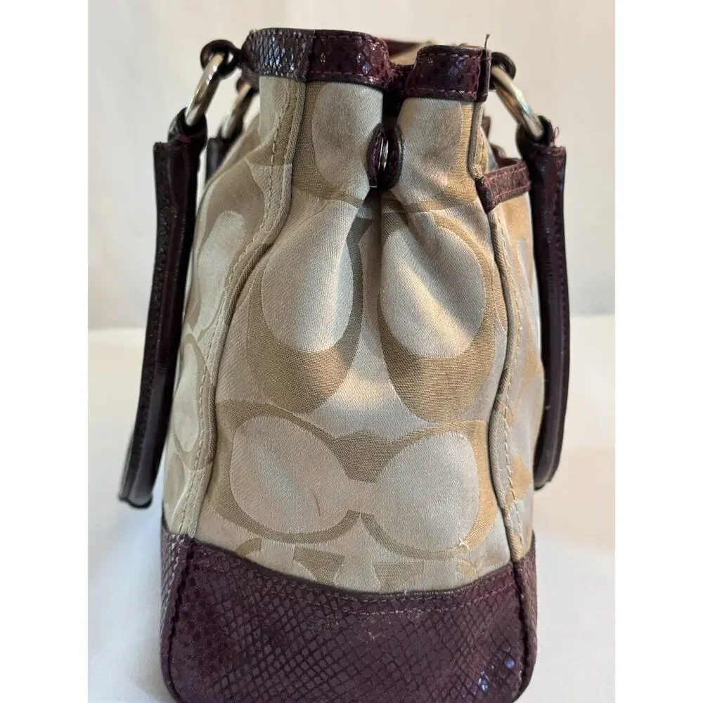 Coach Park Signature Carry All F20353 (2012) Rare Restored And Ready For Fall